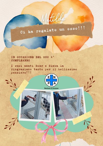Esempio del biglietto «Ci ha regalato un osso!!!» per il compleanno