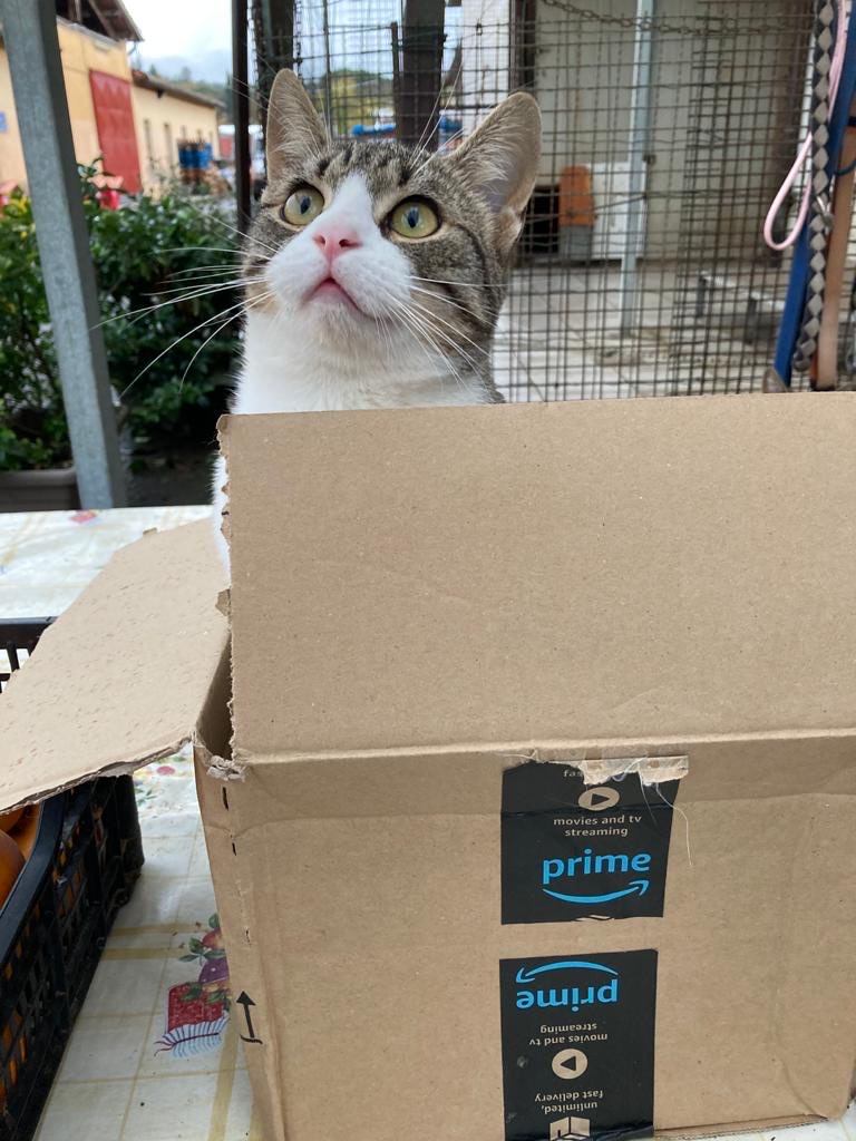 lista deisideri Amazon